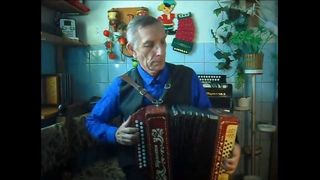 Гимн России на гармони смотреть онлайн