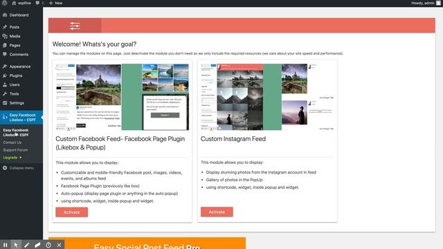 Enable disable modules of Easy Social Post Feed WordPress plugin смотреть онлайн