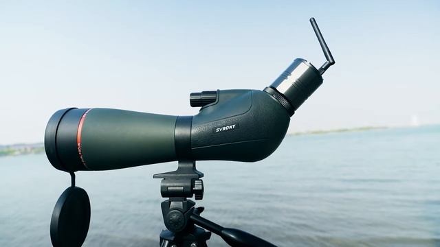 SVBONY SC001 WIFI Camera----Your best friend for Birdwatching смотреть онлайн