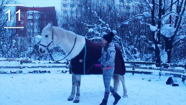 15 ФАКТОВ О КАЗБЕКЕ | Факты о лошадях смотреть онлайн