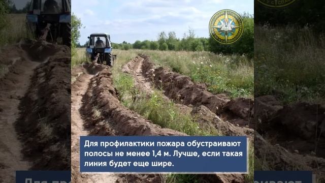 Противопожарная минерализованная полоса смотреть онлайн