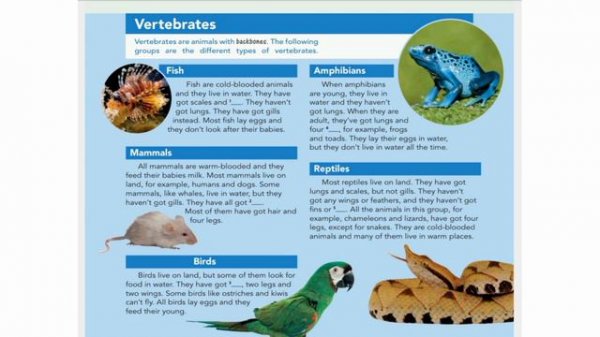 English Plus 6. CLIL Natural science: Animals. p. 41