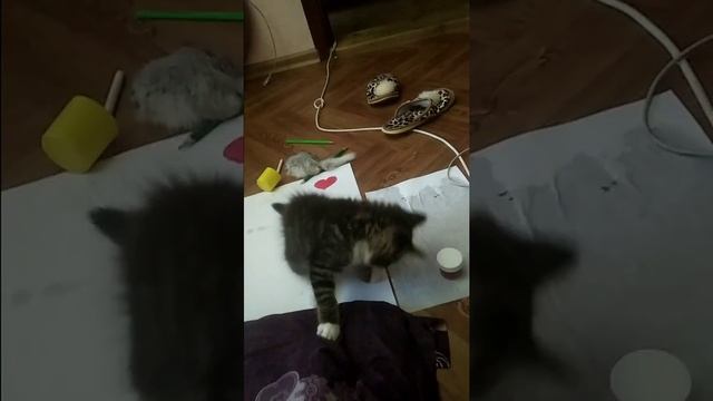 Коты понимают слова человека! смотреть онлайн