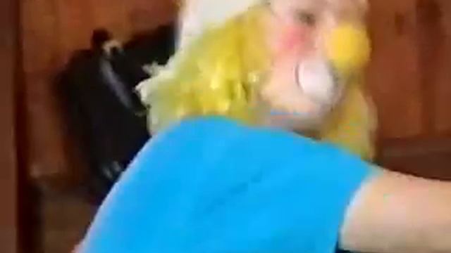 Театральная студия 