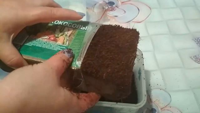 Учимся готовить кокосовый грунт . смотреть онлайн