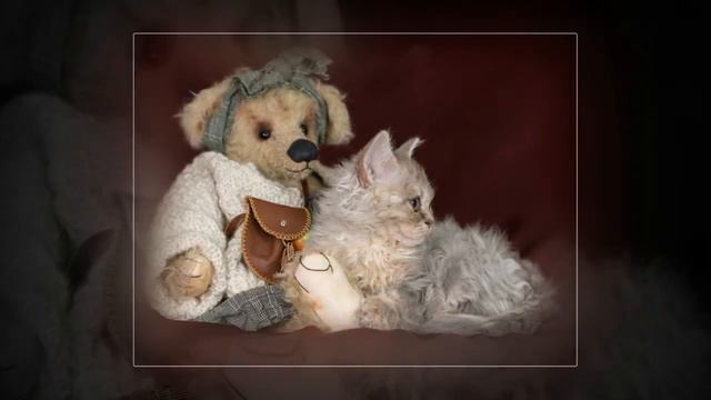 Fair and Square - Selkirk Rex homozygous short and longhair смотреть онлайн