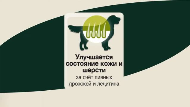 Bewi Dog Sport – немецкий сухой корм для активных собак смотреть онлайн