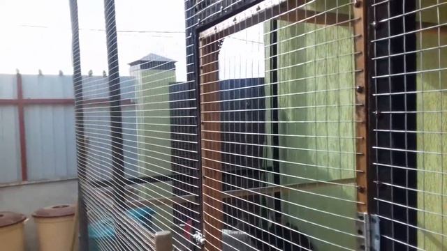 Ремонтный Камертон