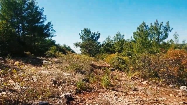 Акьяка: Истории из лета. Поход в горы.