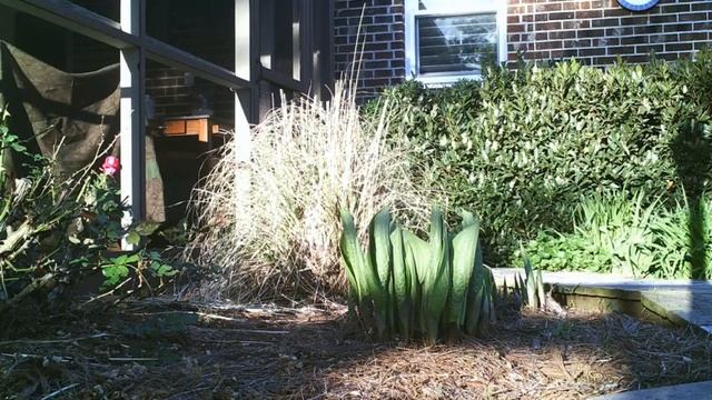 Empress Wu смотреть онлайн