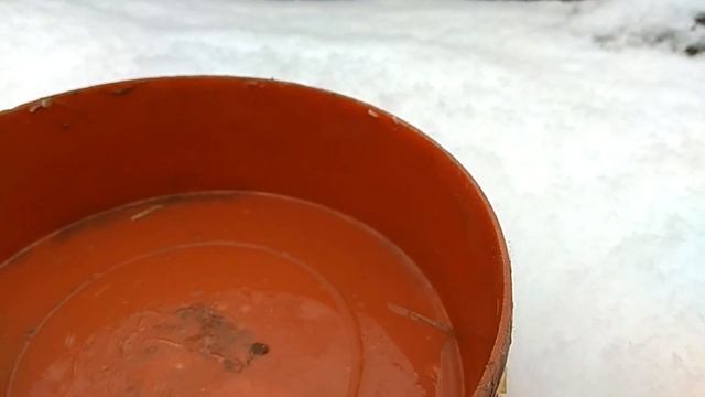 Емкость на воду, для кроликов, в зимний период