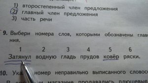 Проверка тетрадей. Русский язык. Тестовые задания. От жары кругом голова