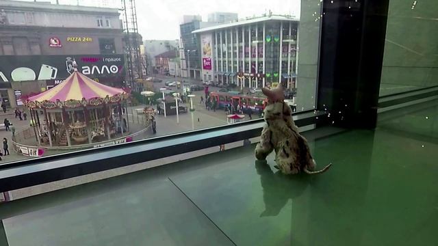 Новогодняя карусель для Тузика смотреть онлайн