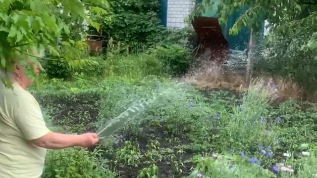 Дача : неудачный маринад мяса смотреть онлайн