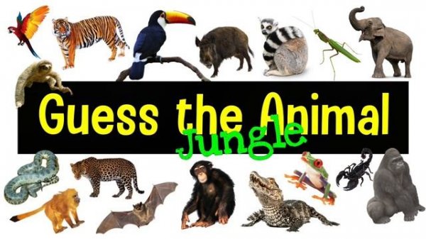 Guess the Animal Sound Game | Jungle Animal Sounds Quiz