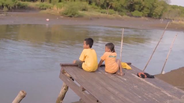 Harmony of Life I Cinematic Video Nikon D5300 + Lens Youngno 35mm F2 смотреть онлайн