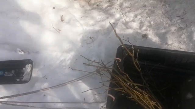 Мотоблок снова в лесу. смотреть онлайн