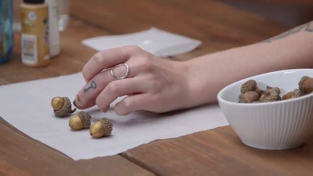 Go Nuts for Gilded Acorns смотреть онлайн