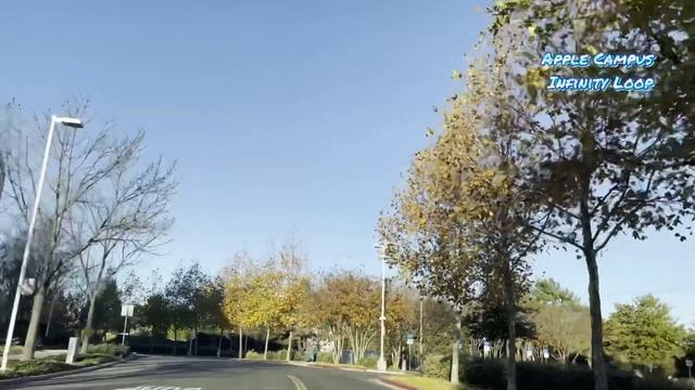 【Apple Campus Infinity Loop】