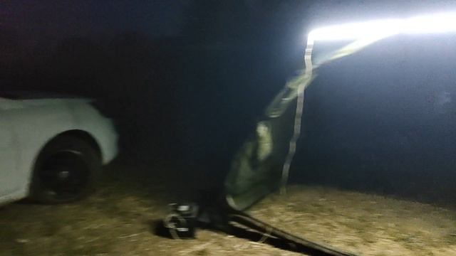 Ловля трофейного толстолоба вечером и ночью