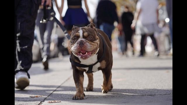 Sony a7R IV Sample Images ILCE-7RM4 [Photo Gallery] Highly Capable Camera For Impressive Stills смотреть онлайн
