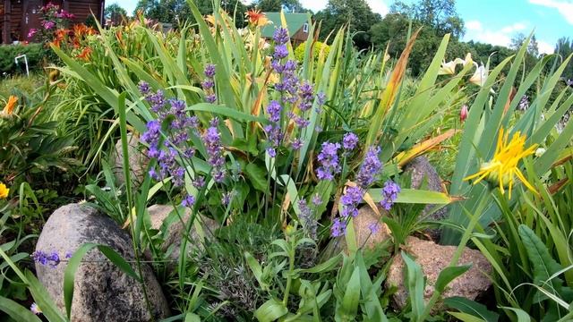 Строительные Призраки
