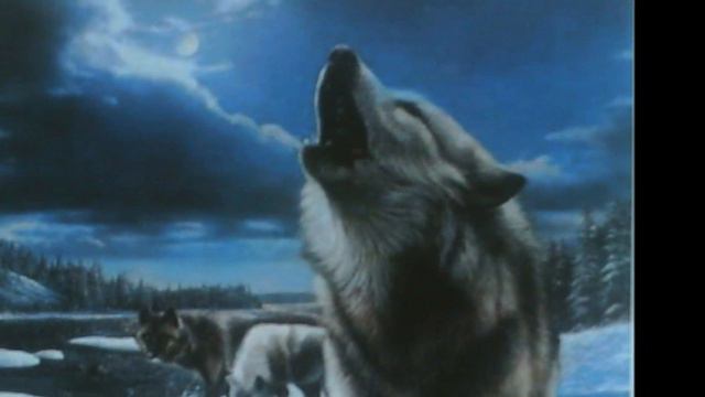 Full Moon Tribute Native American Flute & Hand Drum смотреть онлайн