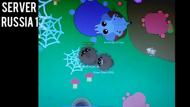 Играю в Mope.io с друзьями