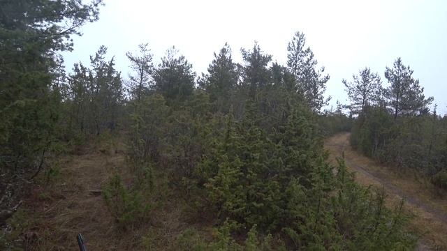 Охота #124 с русской пегой гончей смотреть онлайн