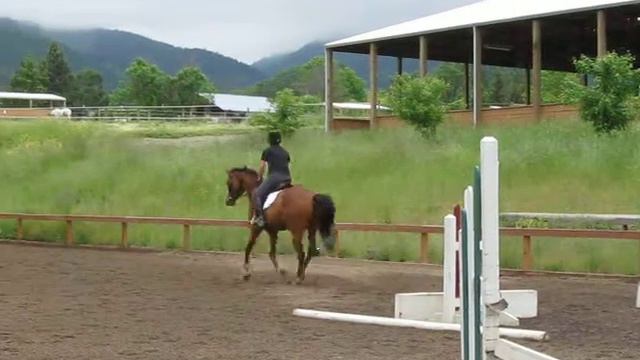 Class Act jumping смотреть онлайн