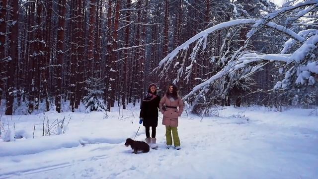 Метёлки смотреть онлайн