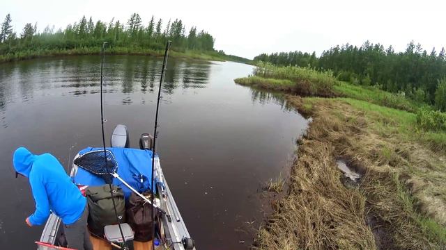 Север 2017. Отчёт. смотреть онлайн