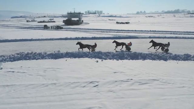 Конноспортивные соревнования Новоселово 2018 смотреть онлайн