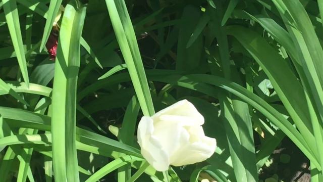 Все будет Джага! В Понедельник надо выжить и здоровье сохранить! смотреть онлайн