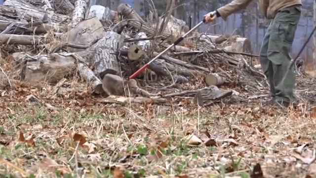 Удивительные кадры спасения животных. смотреть онлайн