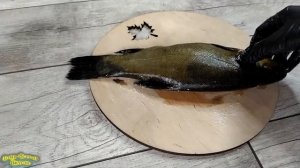 Как запечь рыбу в духовке. Линь в духовке. Вкусный рецепт