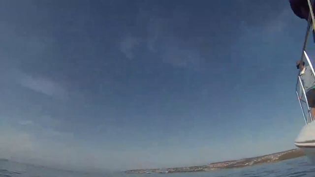 Рыбалка с акулами смотреть онлайн