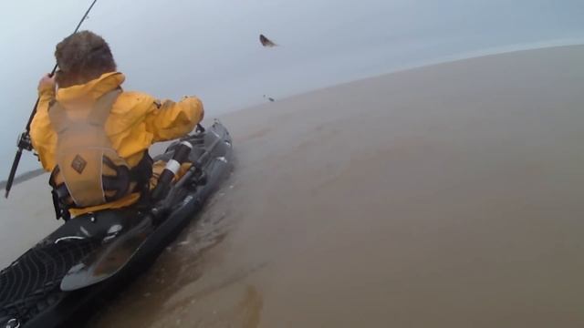 Kayak Fishing : A Cod Start смотреть онлайн