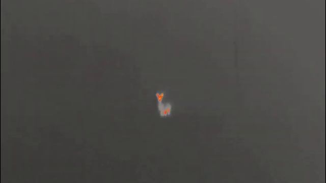 продам тепловизор смотреть онлайн