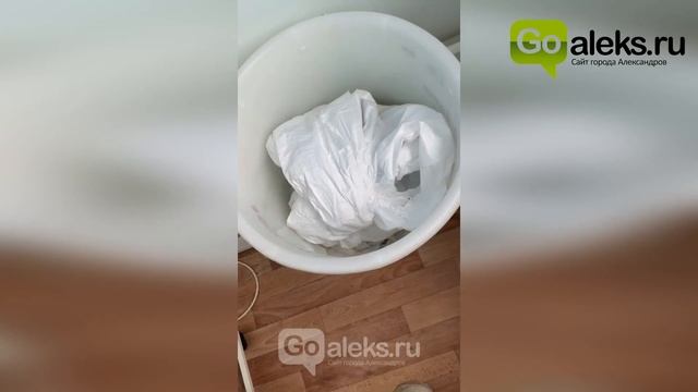 Состояние больницы в г. Карабаново во время карантина 2020 смотреть онлайн