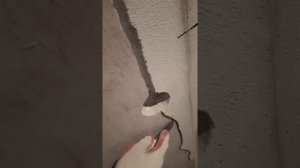 Цементная штукатурка на стене из пазогребневых плит