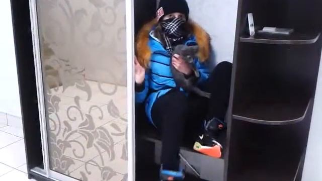 нарния