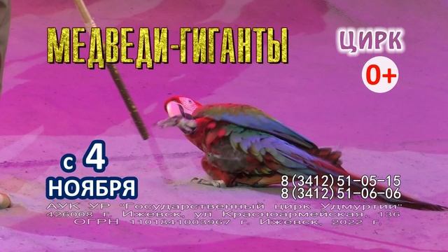 Медведи гиганты смотреть онлайн