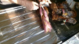 Как разделать фазана (снимаем кожу с перьями с фазана)