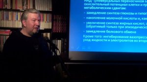 Алексей Водовозов - Токсикология похмелья