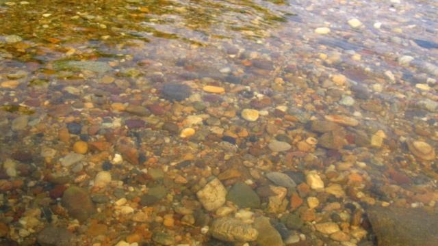 Близкий Дальний Восток.