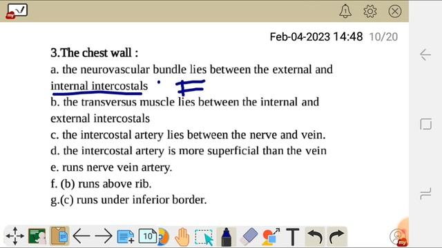 ANATOMY TRUE/FALSE QUESTIONS ON THE THORAX смотреть онлайн