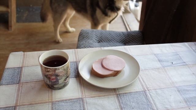 Хаски Альма взялась за старое смотреть онлайн