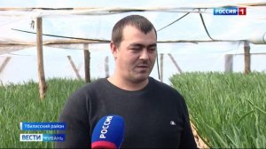 россия кубань.mp4