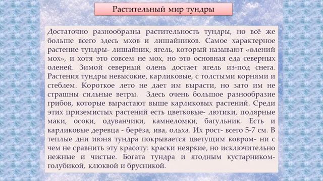 Тундра смотреть онлайн